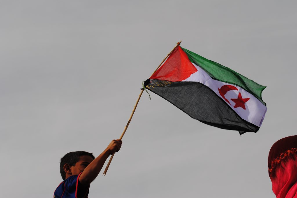 Pojke håller i en västsaharisk flagga som är fäst på en pinne och höjer flaggan i luften.
