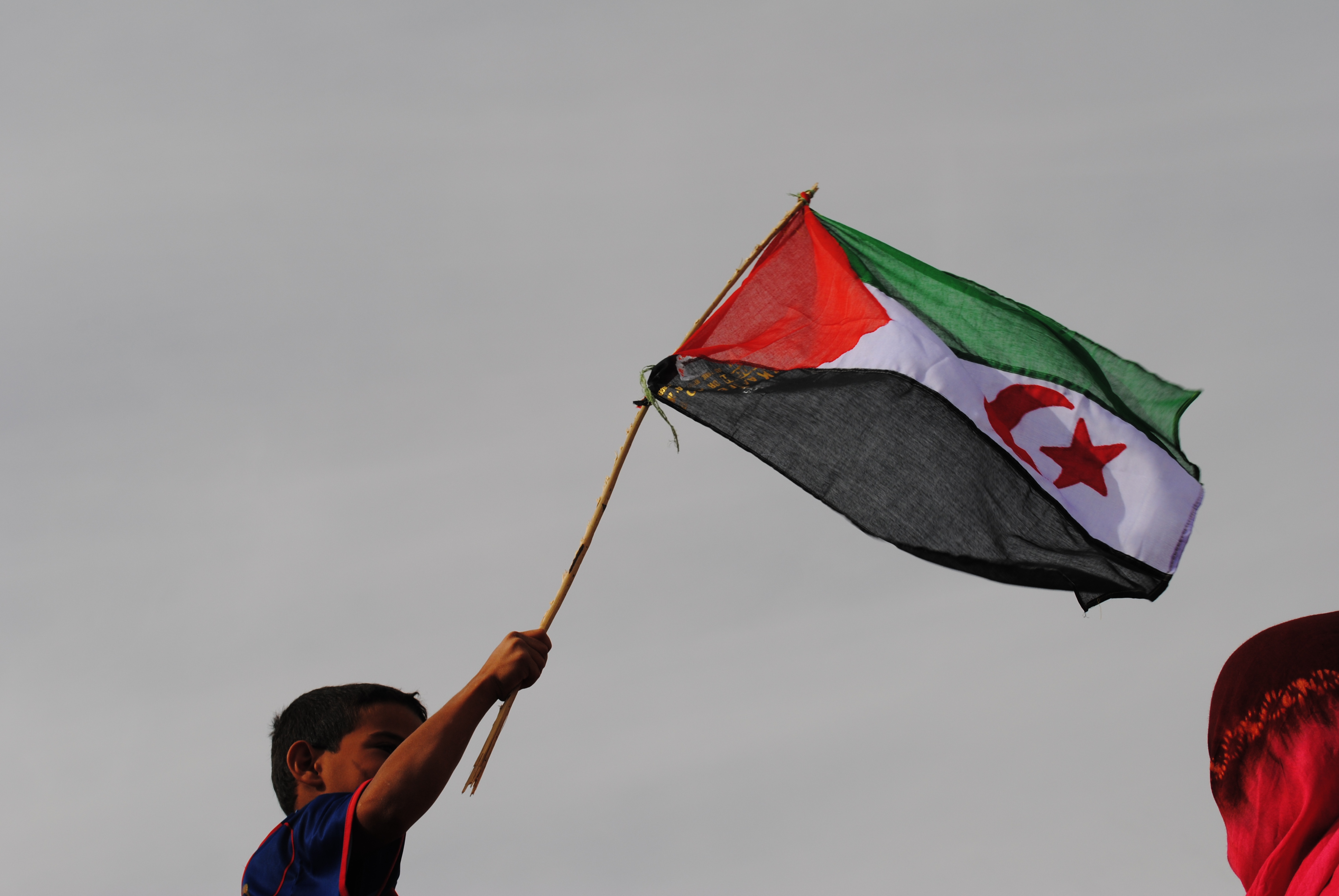 Pojke med flagga Pojke håller i en västsaharisk flagga som är fäst på en pinne och höjer flaggan i luften.