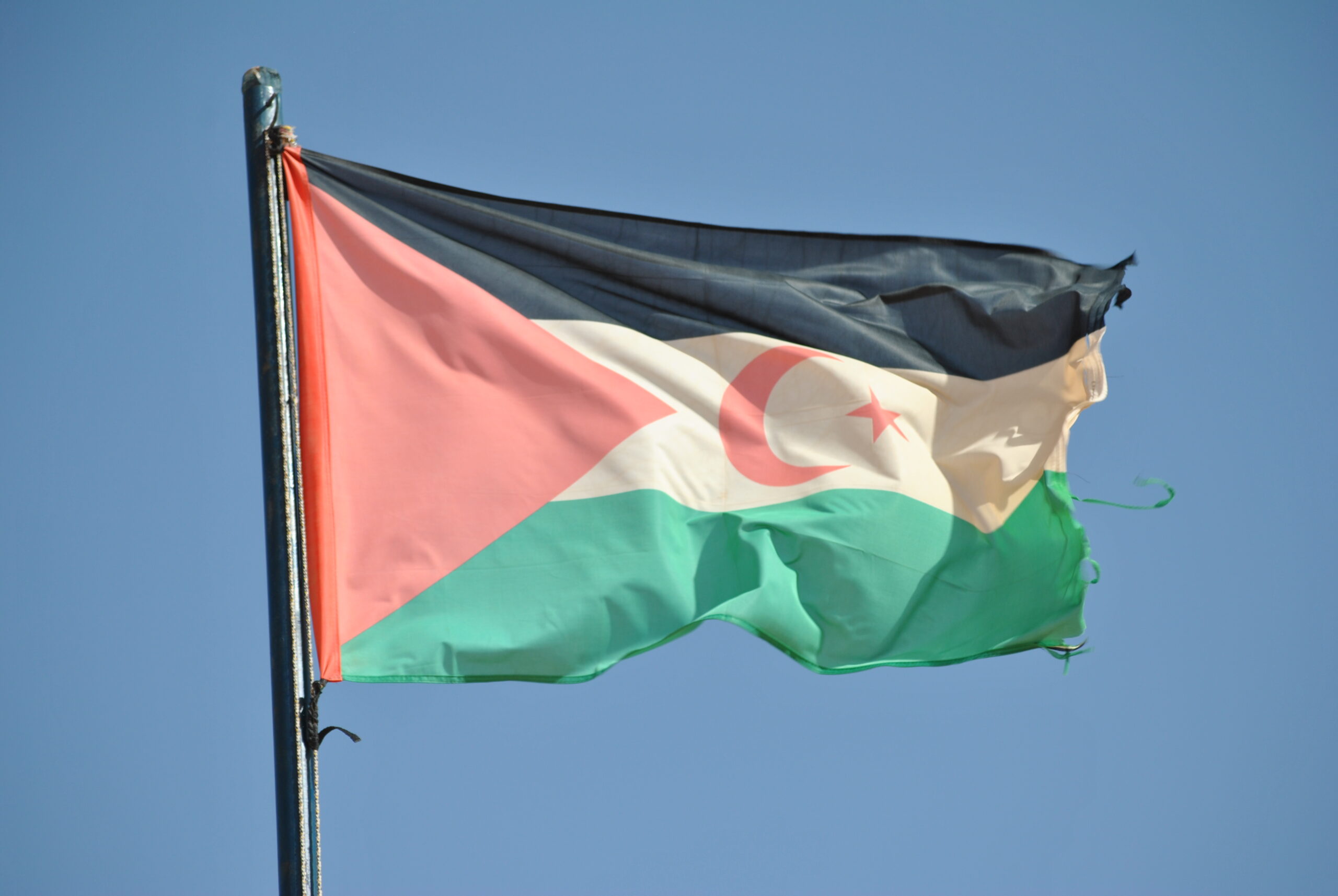 Ny rapport: Bristande mänskliga rättigheter i Västsahara