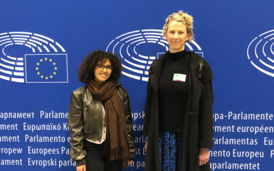 ”Övergreppen är ett symptom på ockupationen”