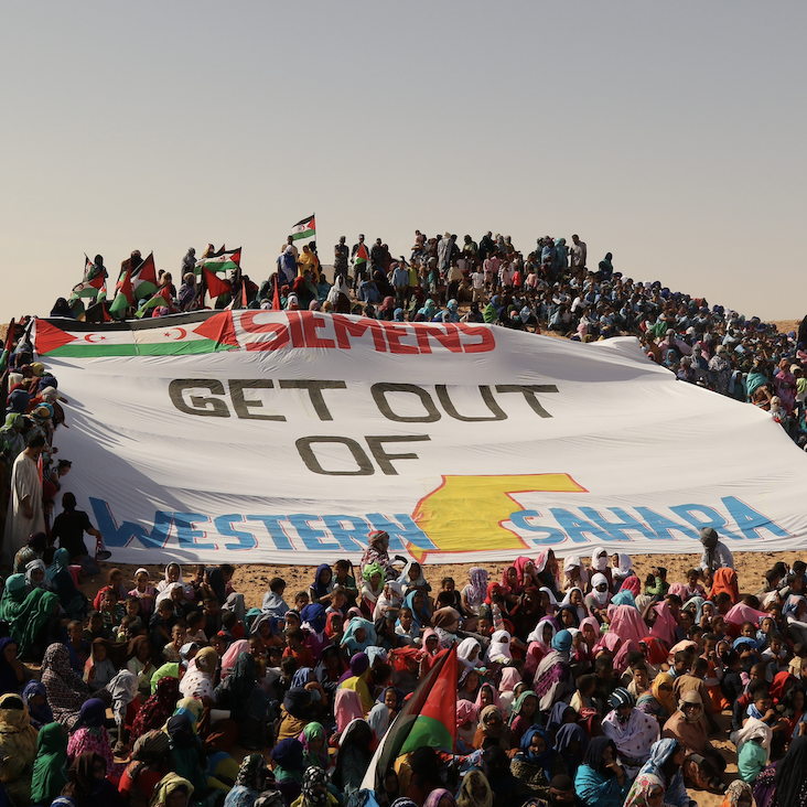 Protest_VS Västsaharier i flyktinglägren protesterar mot företag som verkar på ockuperad mark.